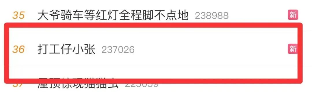 靠教人如何坐高铁,“打工仔小张”涨粉百万,火上热搜!| 新榜专访
