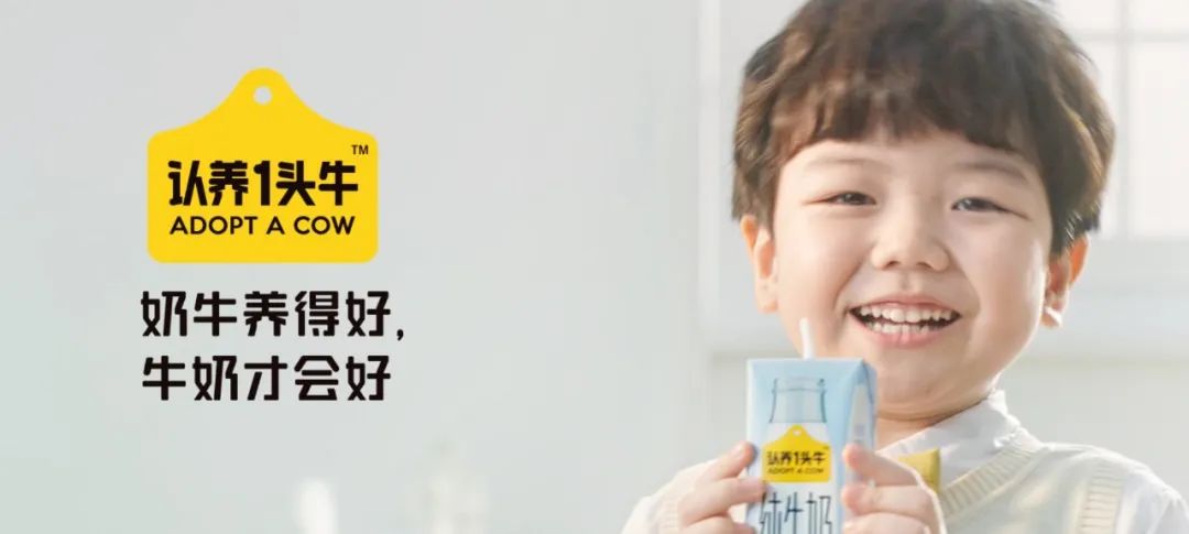 品牌占领用户心智的秘诀！
