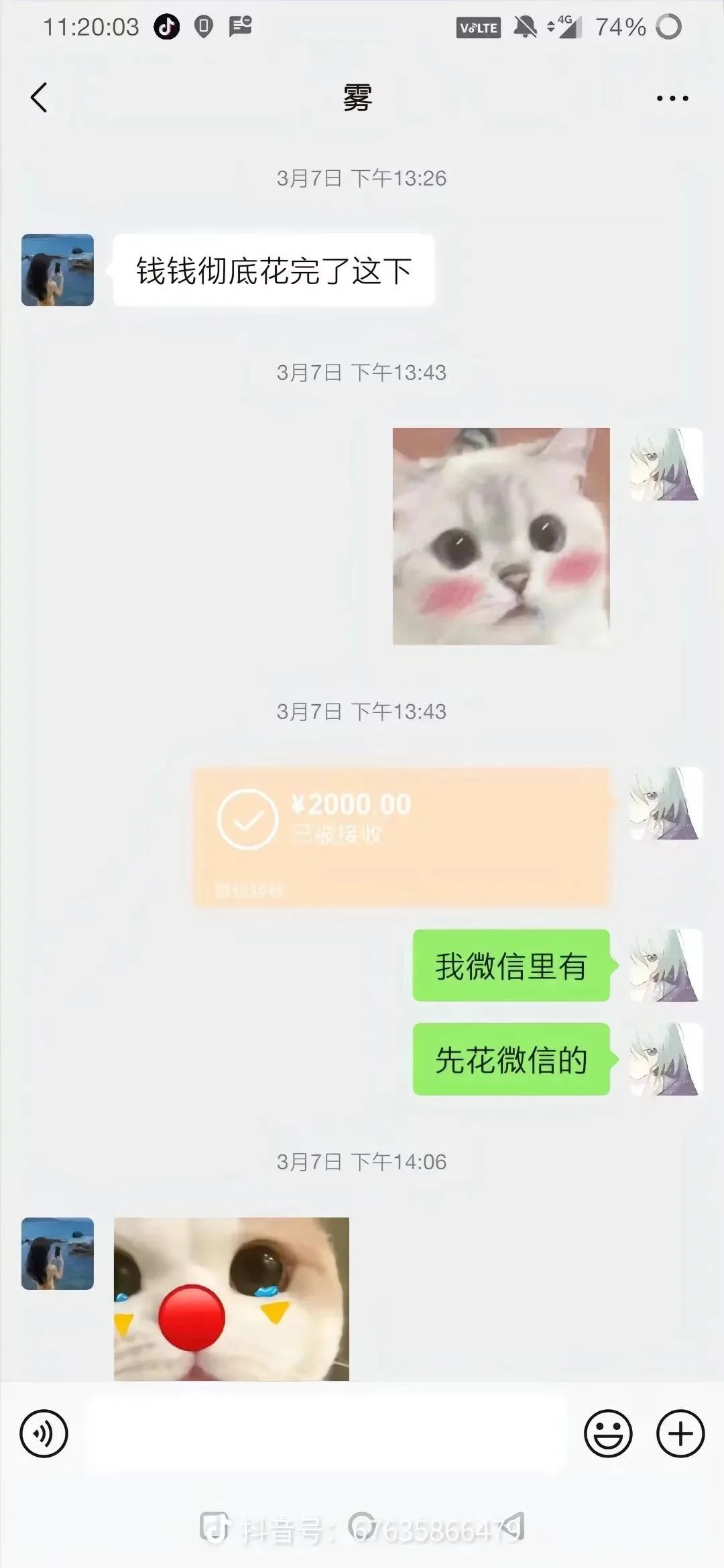 发空包祭胖猫,这些品牌门店有多离谱?