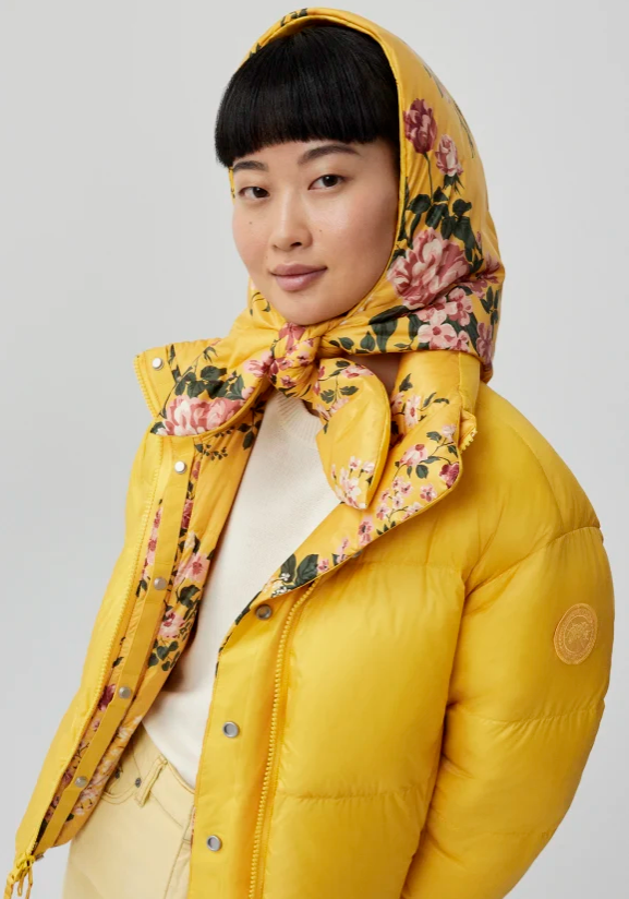 加拿大鹅有东北那味儿了,我当场笑出鹅叫!