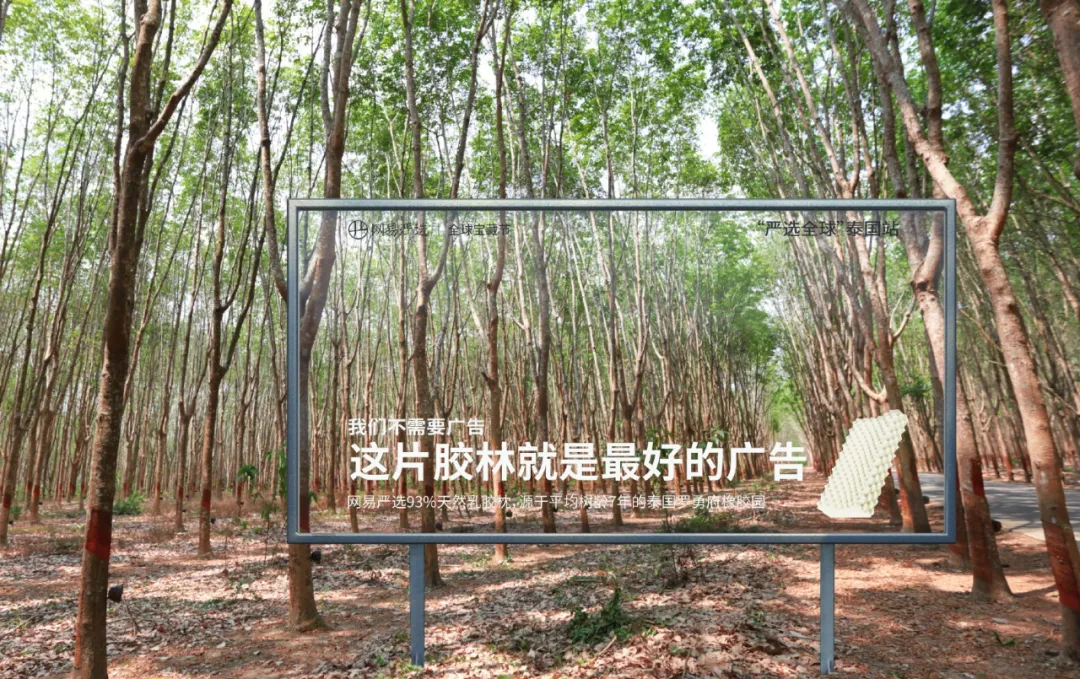 网易严选&ldquo;中国大鹅&rdquo;听劝海报，文案太有梗了