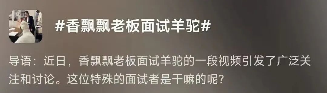 请羊驼直播,香飘飘的创意好抽象