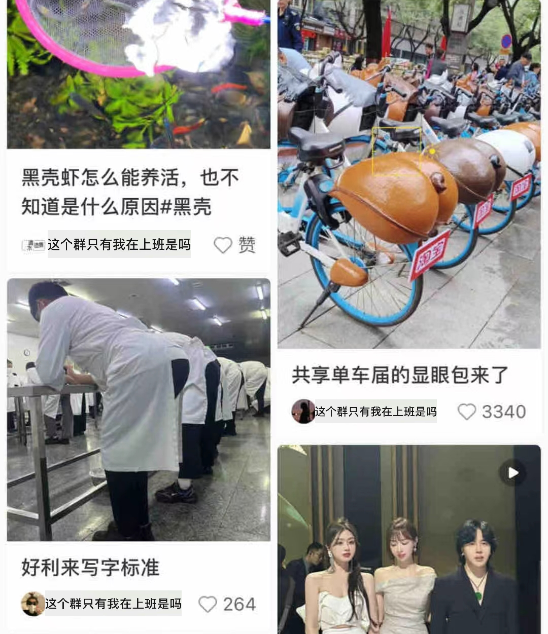 起猛了!好利来开始营销撅屁股了?