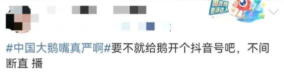 “中国大鹅”火了!双11最强带货王,竟然是网友?