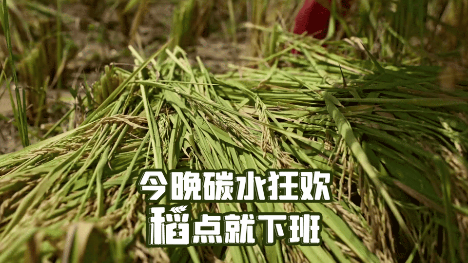 《风味人间4》回归，海报和文案下饭又香