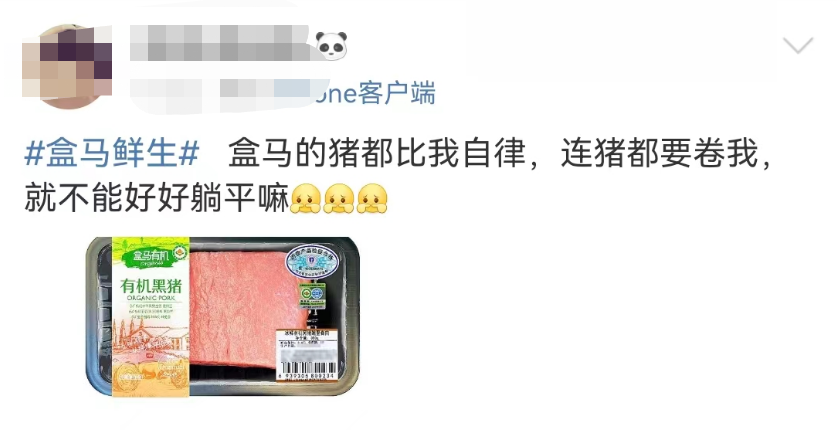 盒马的猪,把刘畊宏女孩卷疯了!