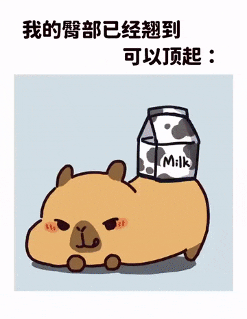 半年吸引亿级流量,卡皮巴拉小黄豚如何变身爆款IP?