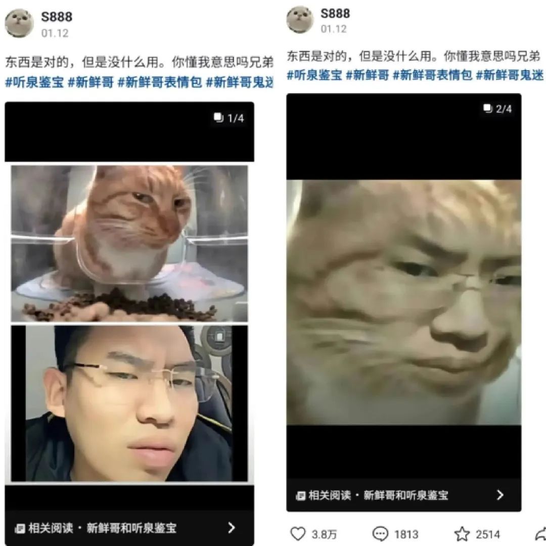 三个月涨粉630万,这届网友爱上直播间鉴宝