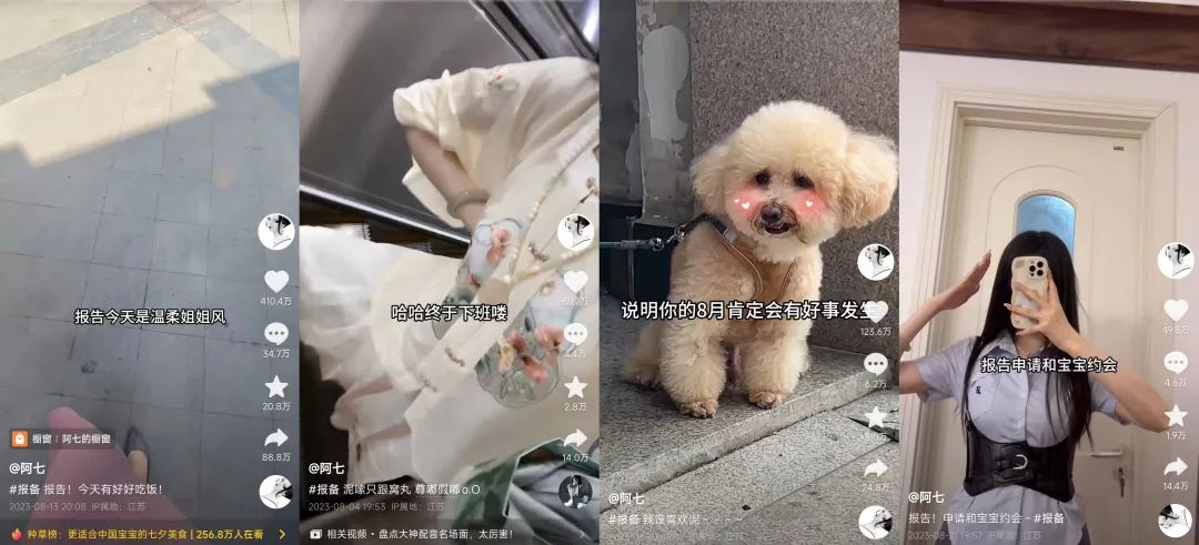 30天涨粉221万,这届年轻人争做赛博舔狗