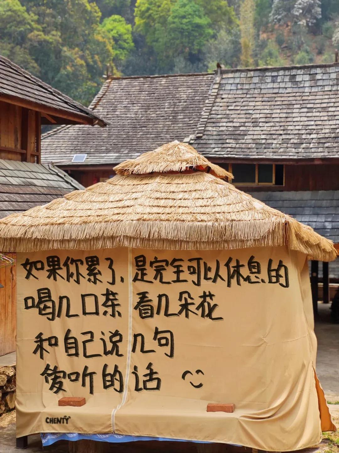 2024年,我心中最好的24句文案