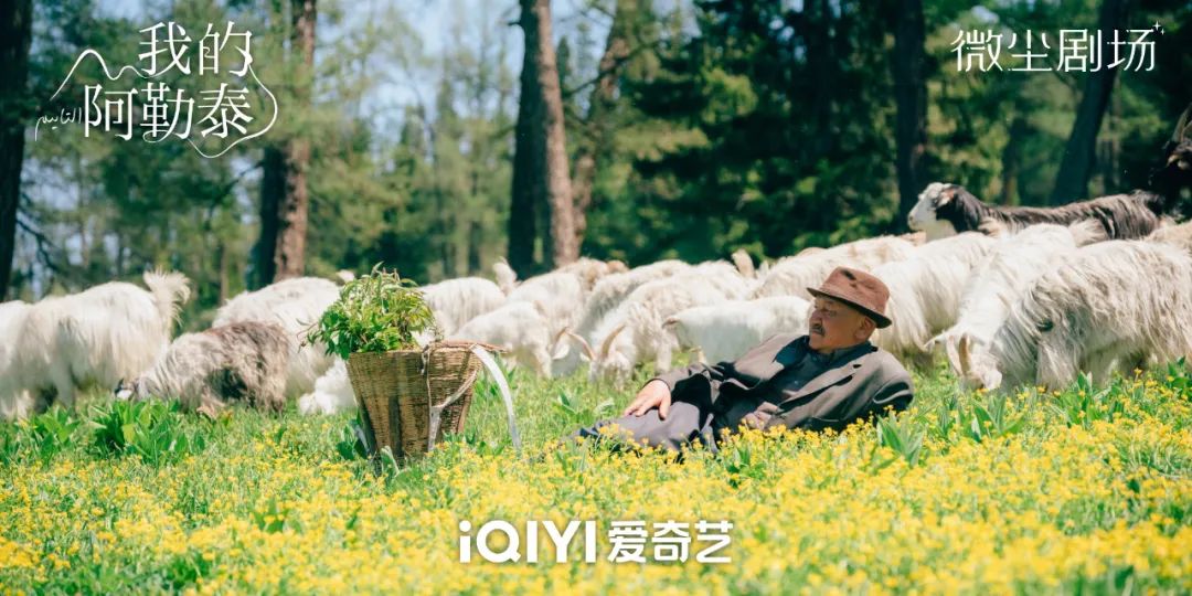 《我的阿勒泰》这些 “松弛感文案”,温暖又治愈