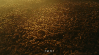 白酒营销元年，这条电影级TVC绝了！