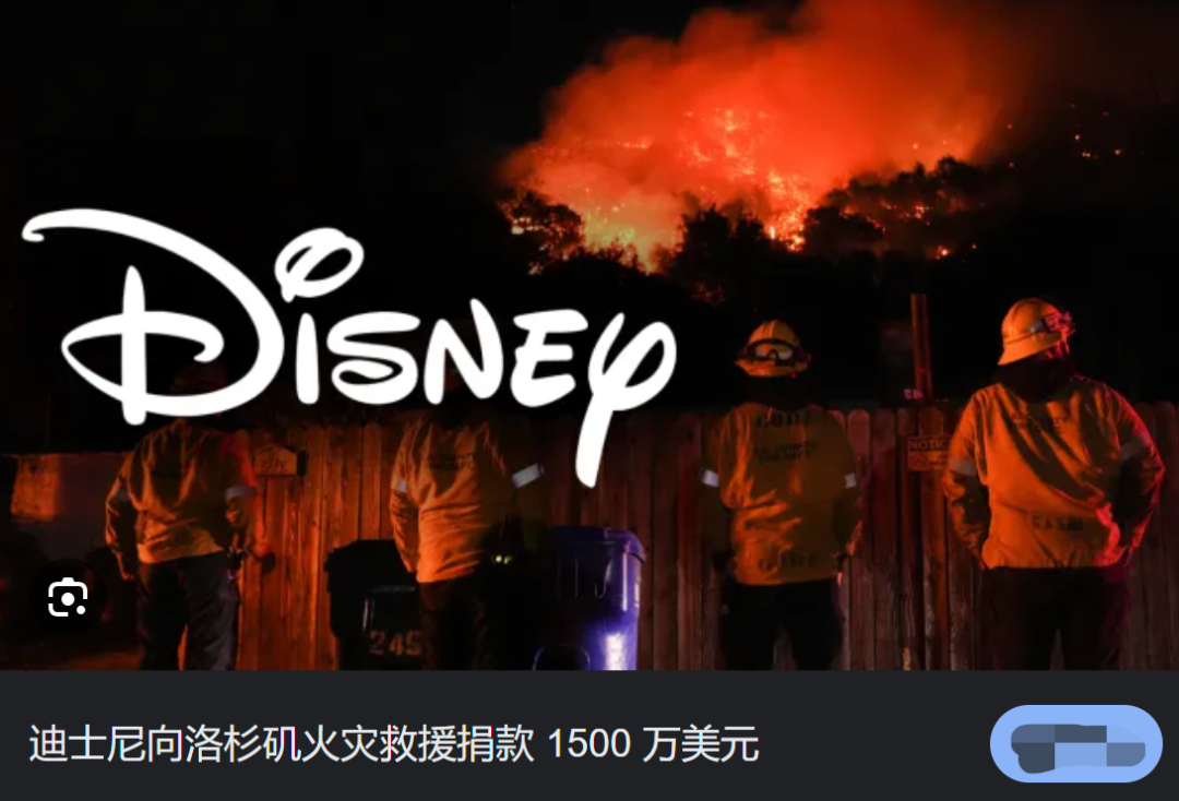 一家兔子博物馆化为灰烬,20明星豪宅烧毁!洛杉矶大火中的品牌、明星救援