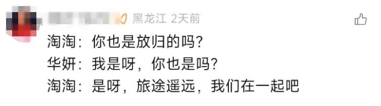 大熊猫保护日,淘宝拍了一支让人爱心爆棚的皮影戏