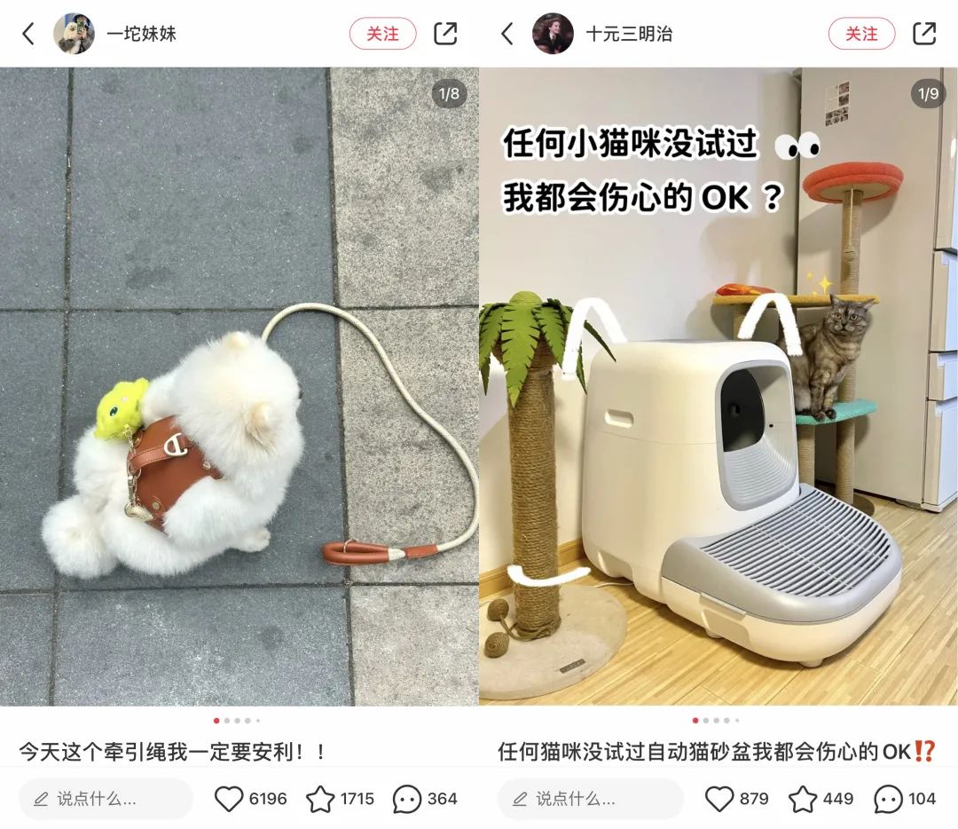 宠物赛道近期小红书种草趋势！怎么做才有转化有传播？