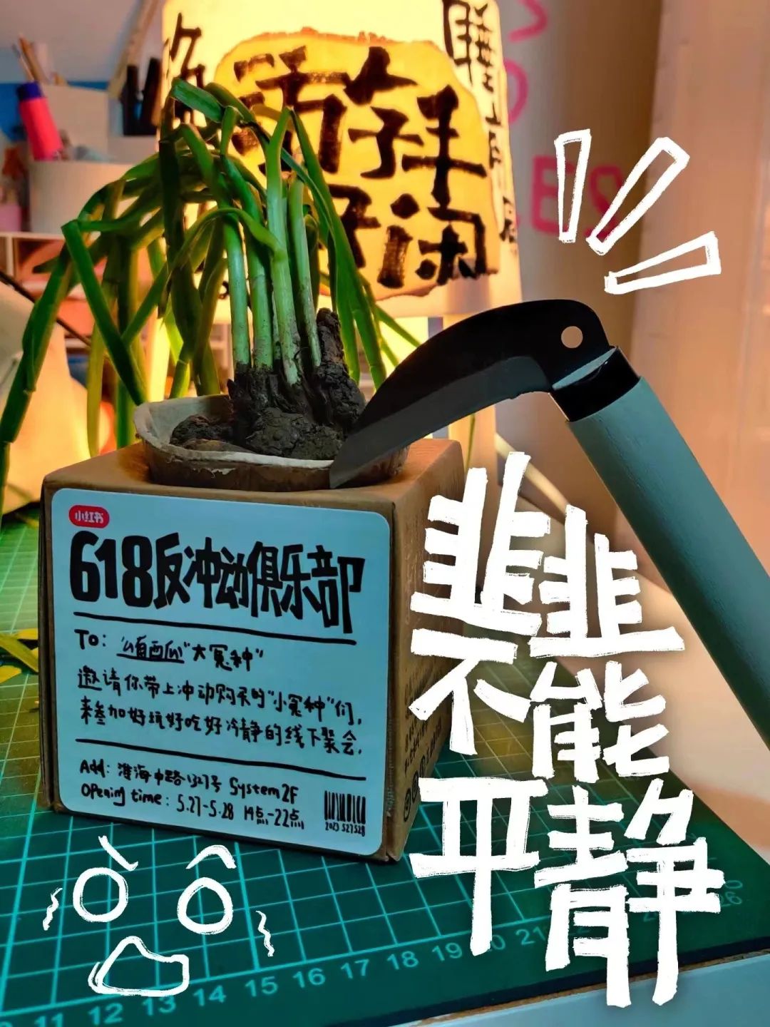 618一股清流,小红书办了一个「反冲动俱乐部」!