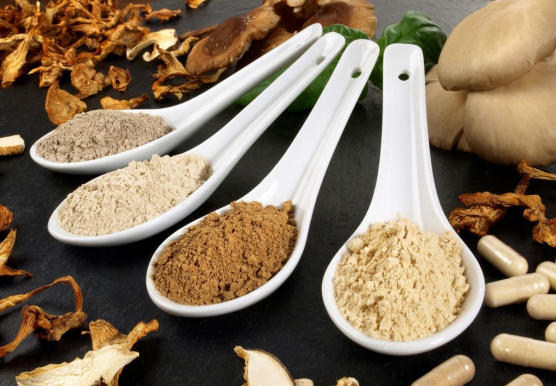 新原料资讯|Nutriearth昆虫原料N-utra获欧盟新型食品授权、Kelker Pharma推GLP-1类减肥药营养方案