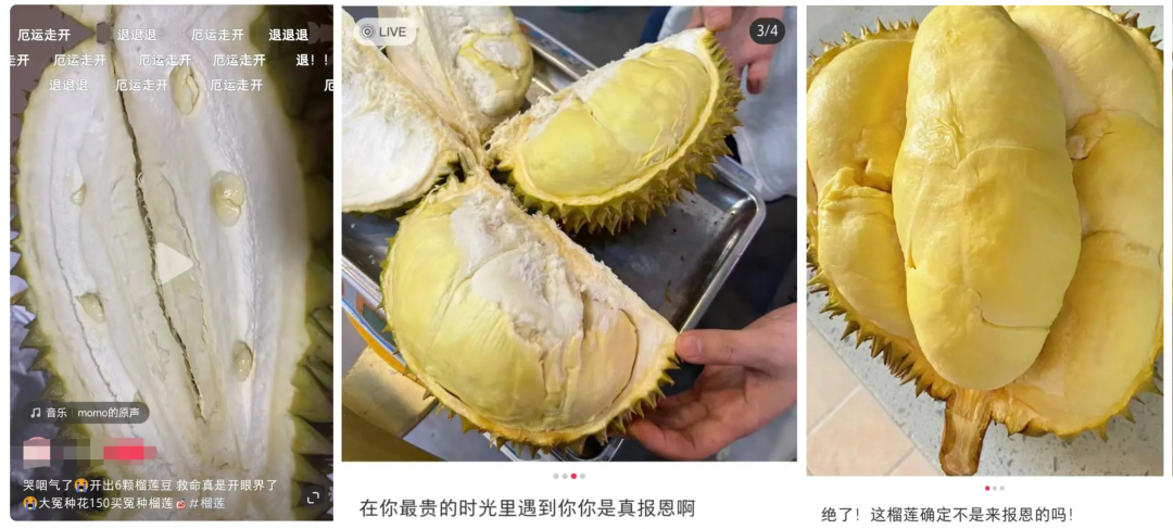 “榴莲盲盒”上热搜,榴莲为什么越卖越贵?