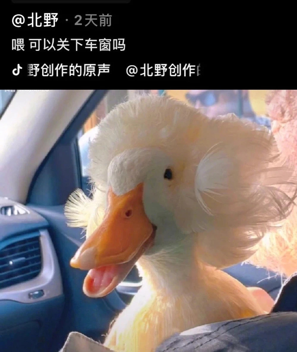 微信图片_20210512052755.jpg 微信图片_20210512052755.jpg
