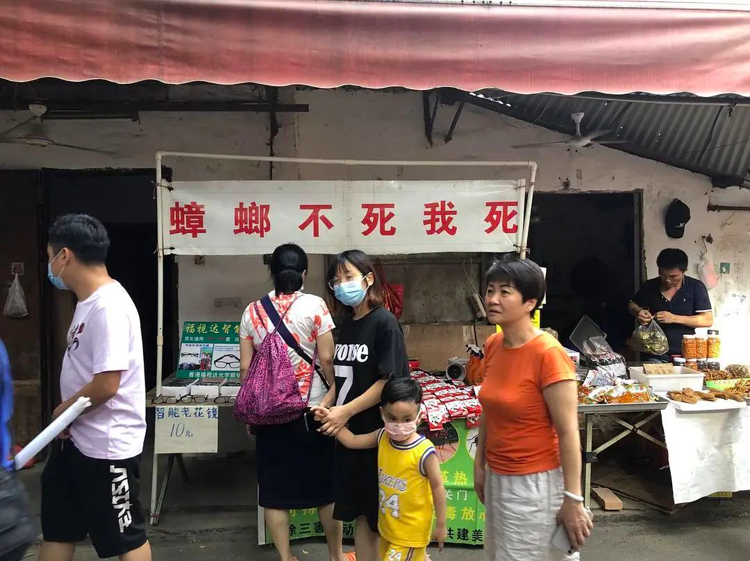 我文案又输给了民间大神