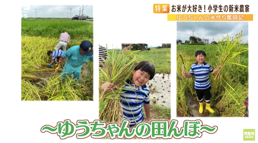 日本9岁小学生暑假租600㎡地，学会了种田，实现吃米饭自由！网友：动手能力比我强1000倍！