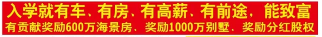 椰树招聘又火了!网友:缅北看到都自愧不如