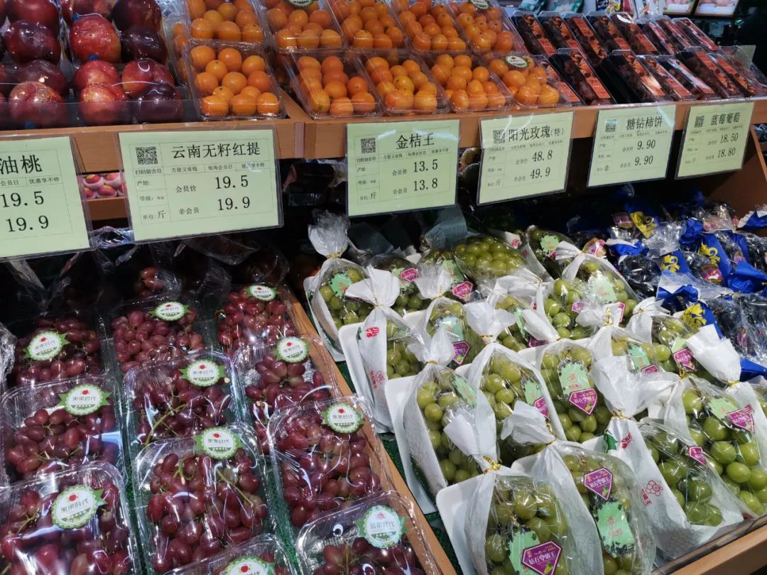 低成本运营方式有哪些(解析低成本运营的法则)