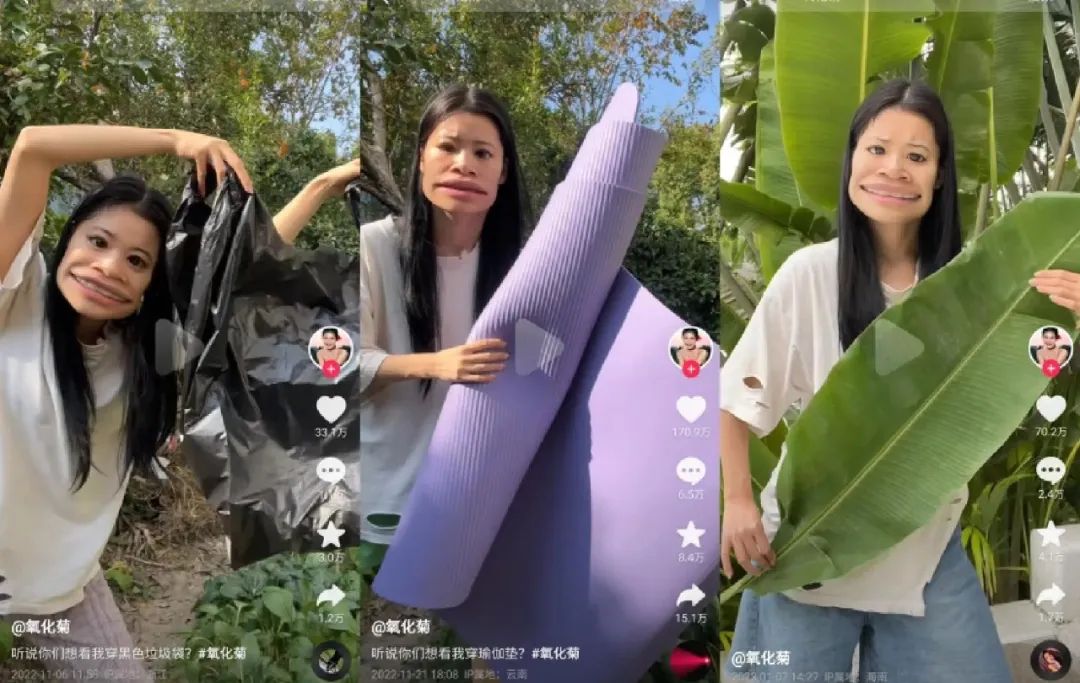 披麻袋也好看的氧化菊,如何从小镇女孩变身千万粉丝博主