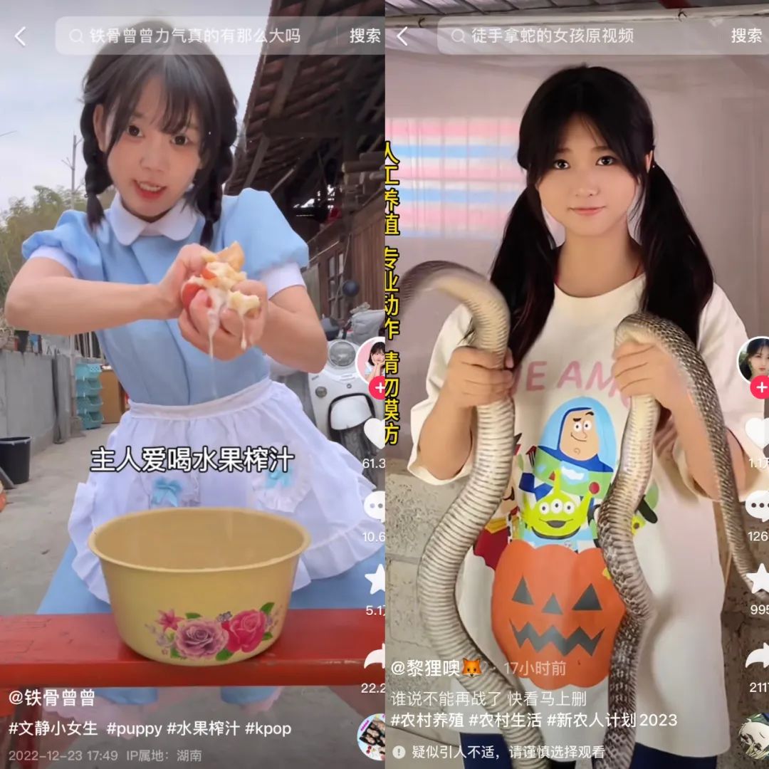 单月涨粉228万,为何大家都爱看美少女优雅养猪?