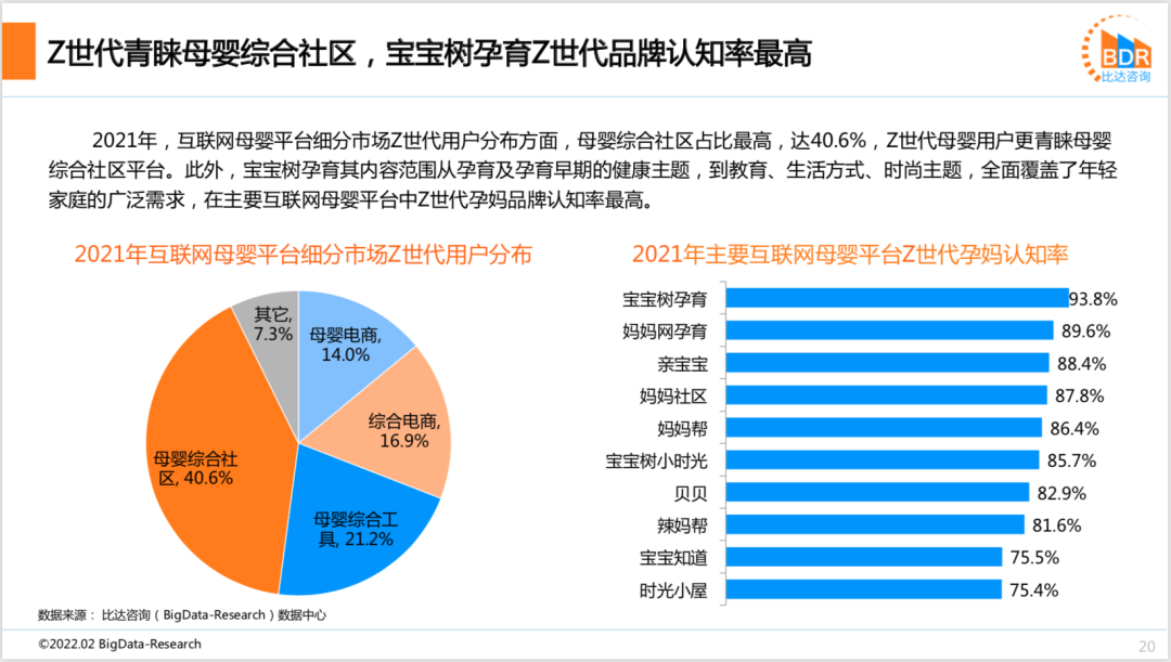 2021年度中国互联网母婴市场研究报告