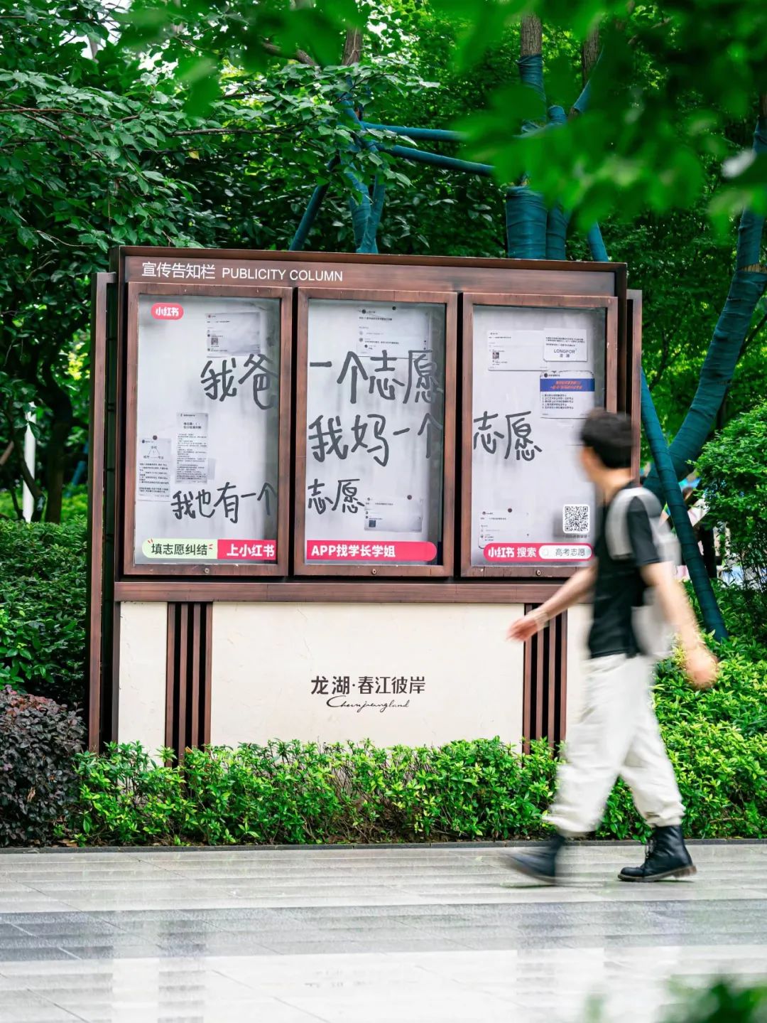 志愿怎么报?小红书送出一份“高考志愿锦囊”