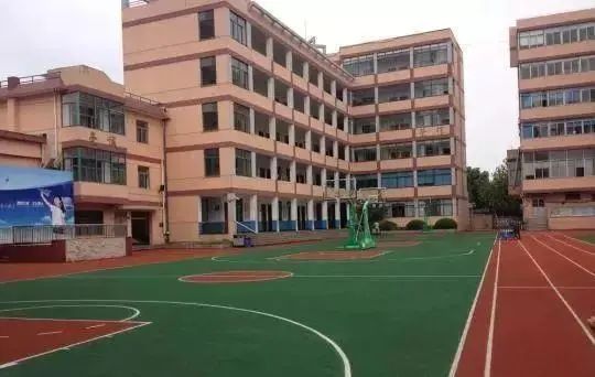 一年消失5600所,幼儿园关停潮之后,轮到小学了?