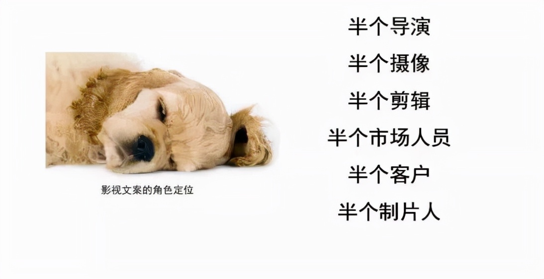 品牌文案丨开门见山剖析宣传片文案到底如何写