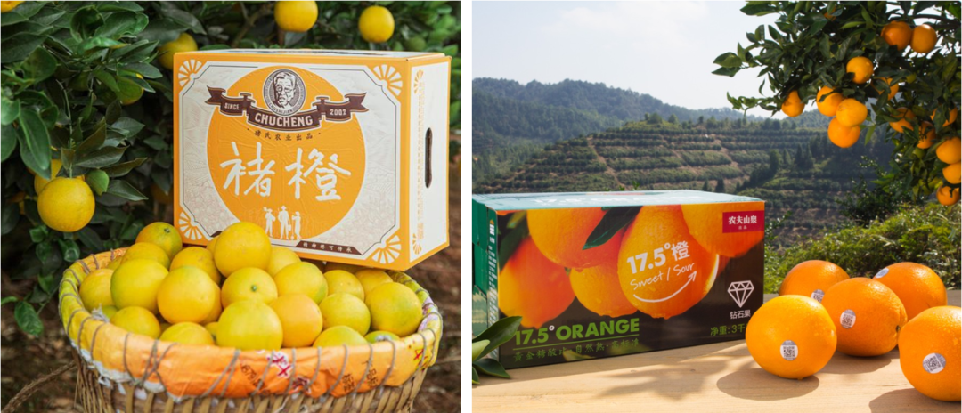 马云的“一米八”,能成为盒马的新王牌吗?