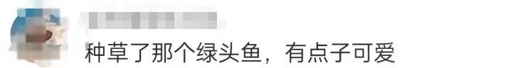 LV蟑螂包，吓哭广东人