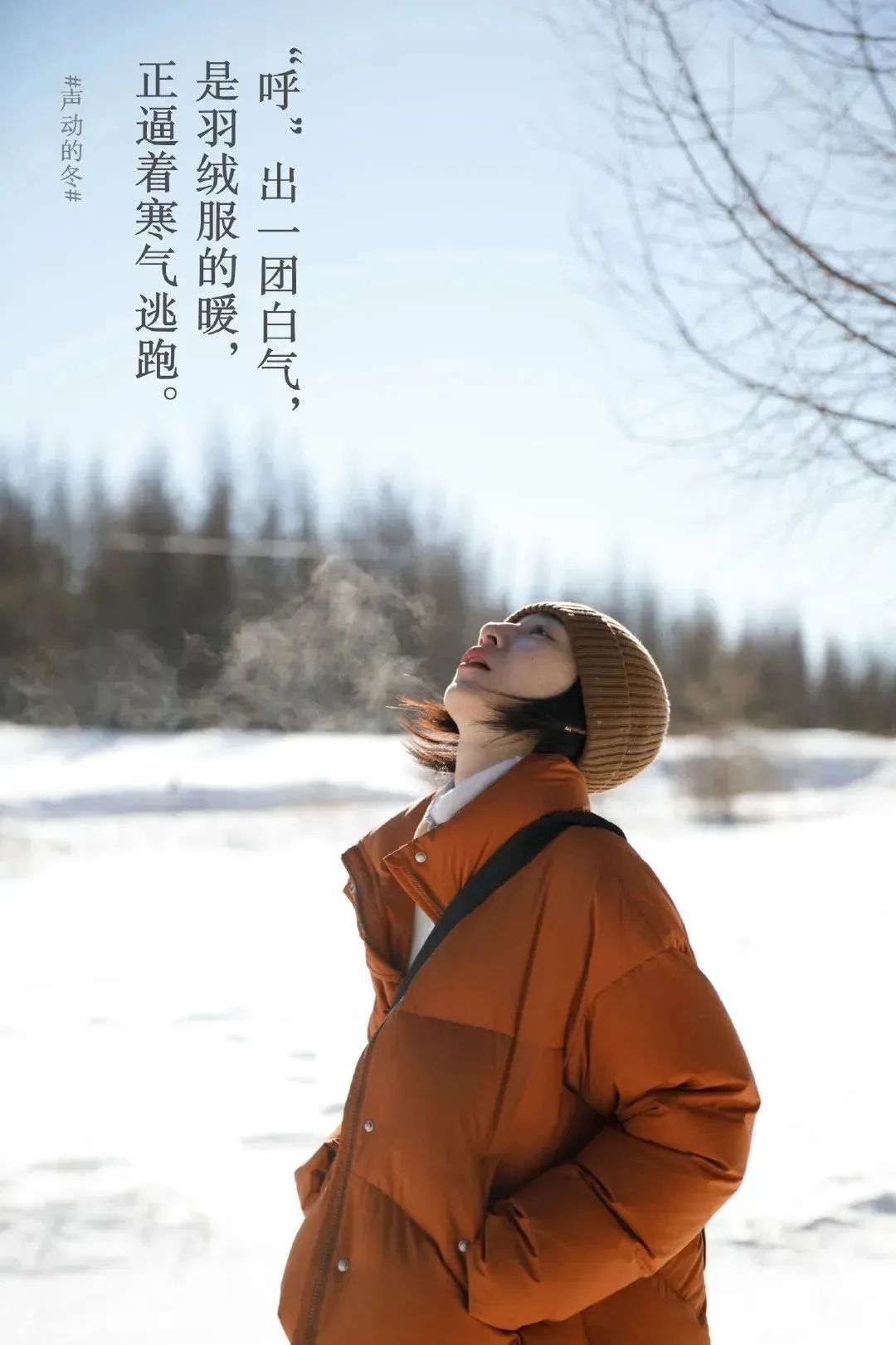 步履不停8句冬日文案,很治愈