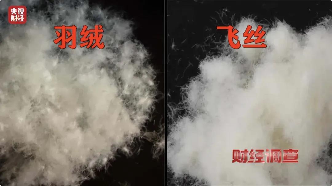 “假”羽绒服,害了多少人?