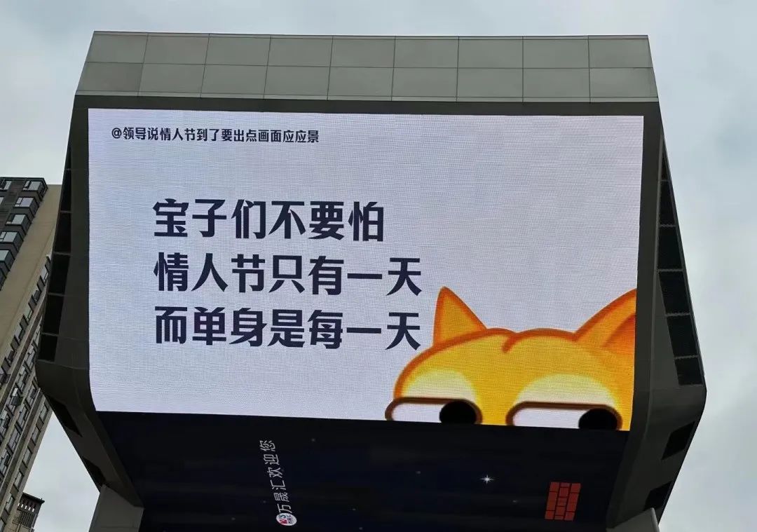 内江情人节出圈？单身狗的嘴替文案有了