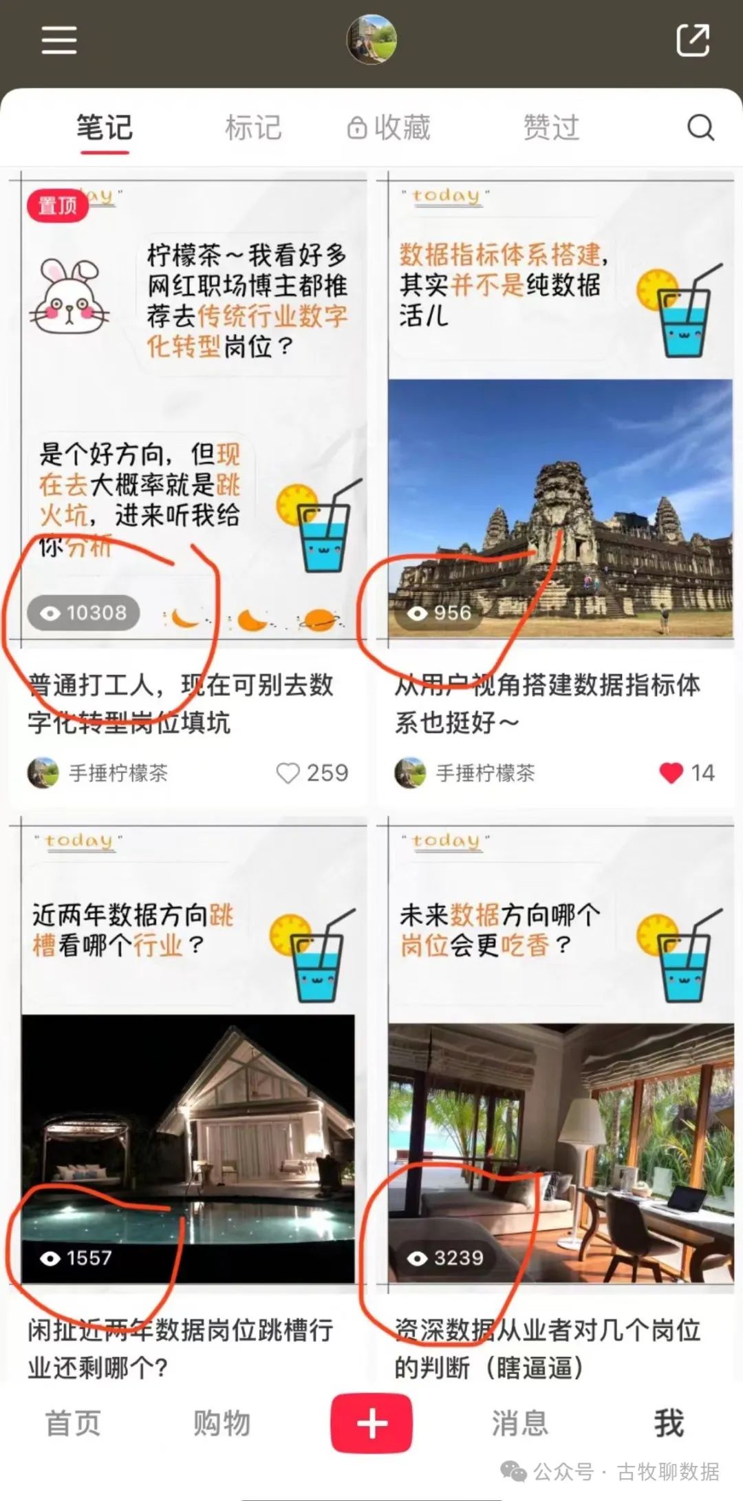 案例解析：小红书数据中心，似乎不大行？