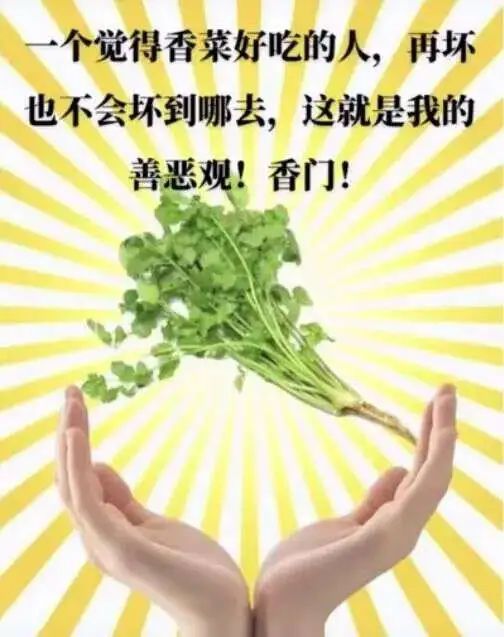 这届年轻人可以不谈恋爱,但必须要找搭子