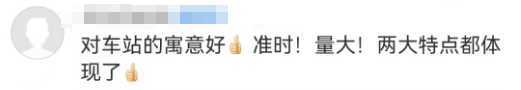 200亿的“姨妈巾高铁站”火了!网友:流量再大也能兜住