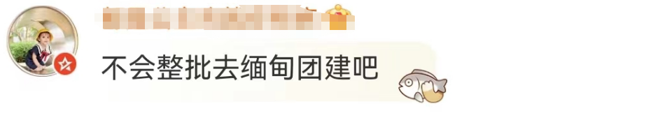 椰树招聘又火了!网友:缅北看到都自愧不如