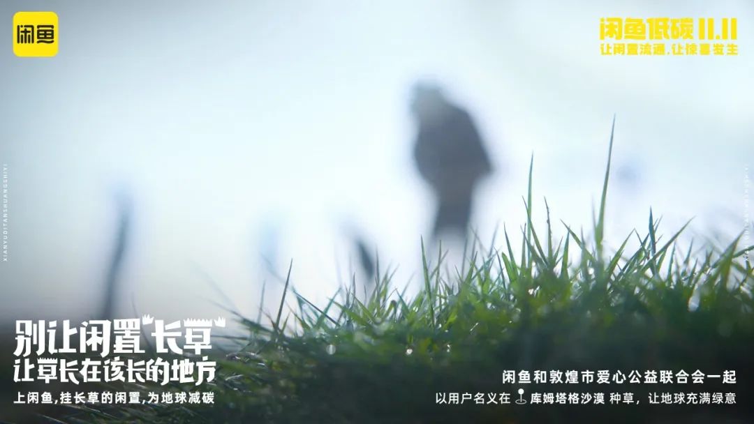 双11营销案例精选:闲鱼双11新创意;罗永浩淘宝直播首秀;李佳琦《所有女生的OFFER2》;天猫用“扣1111”刷屏…