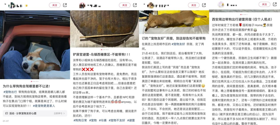 后悔和父母出游的年轻人,正在计划带宠物旅行