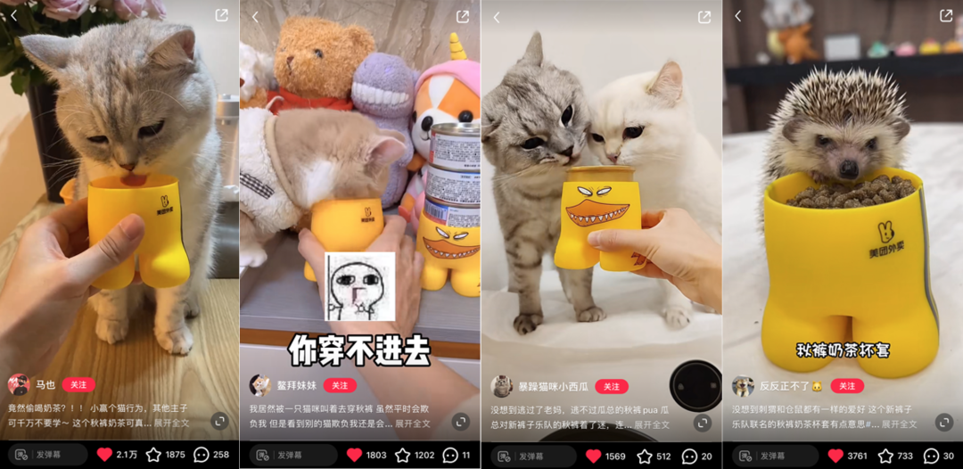 今年立冬的秋裤,是有点甜蜜在身上的