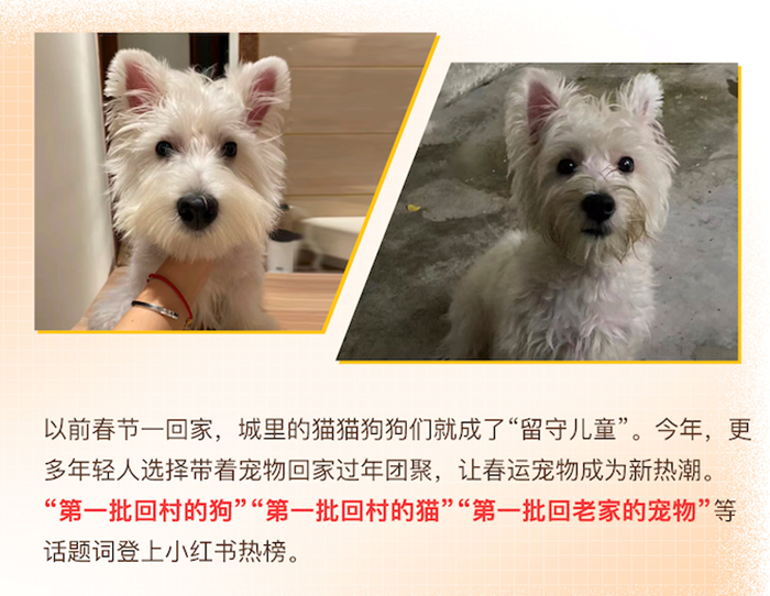 小红书2023春节消费报告解读:大众消费意愿集中释放,表达和分享成为新经济消费诉求