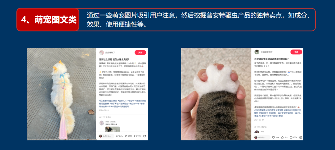 新品上市如何推广?3步让新品即爆品!