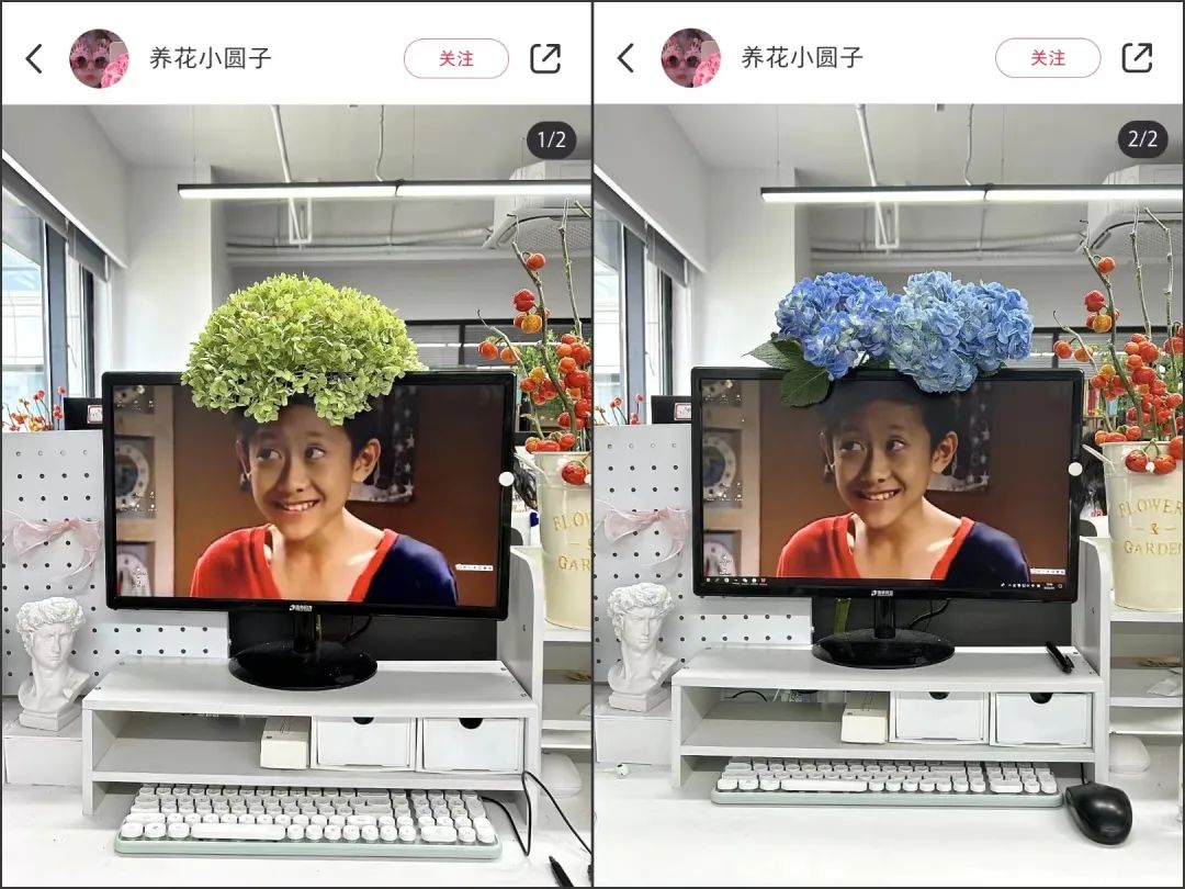 在办公室种&ldquo;下午茶&rdquo;，小红书流行&ldquo;果农&rdquo;风