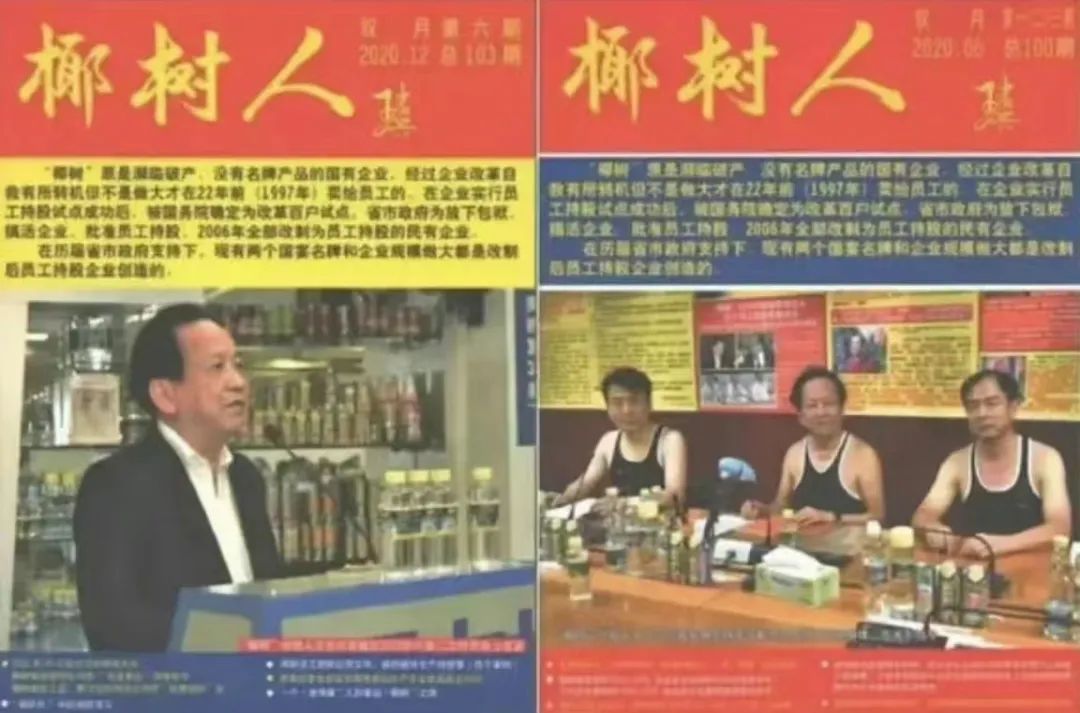 对话椰树爆款直播操盘手:没有KPI、不投流,坚持“原汁原味”的审美