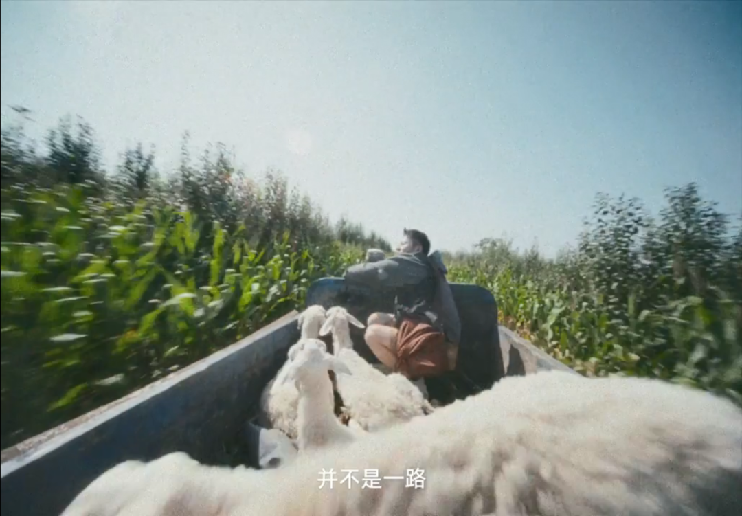 高德版《人在囧途》,让你一口气刷完四部公路片